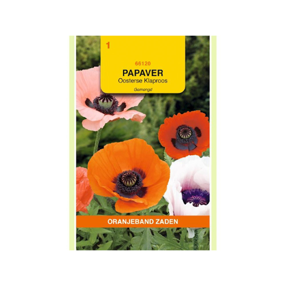 Papaver, Oosterse Klaproos gemengd