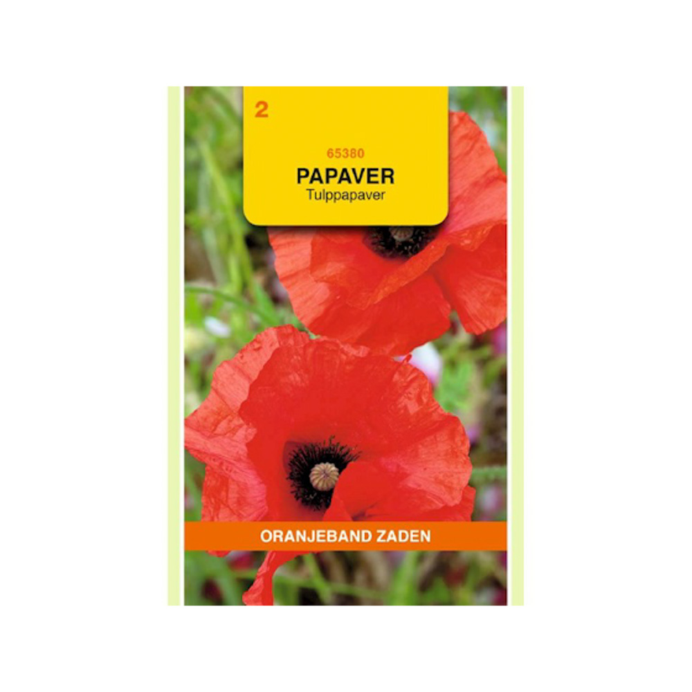 Papaver, Tulppapaver