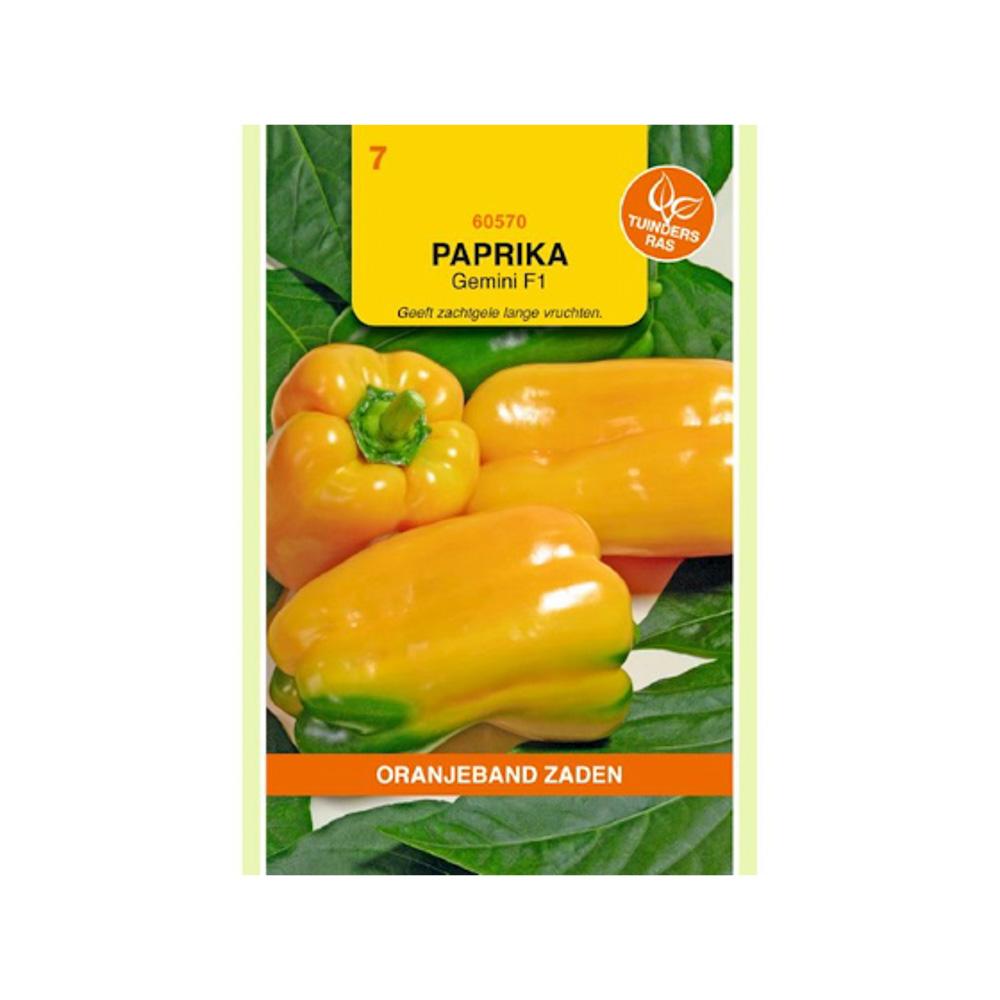 Paprika Gemini geel F1