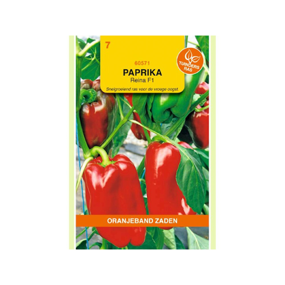 Paprika zaad Reina Solero F1 