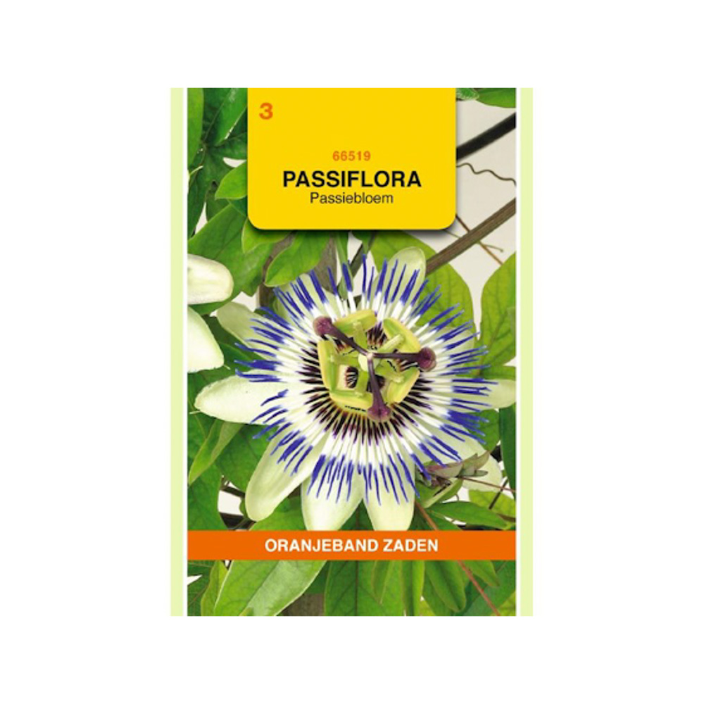 Passiflora, Passiebloem