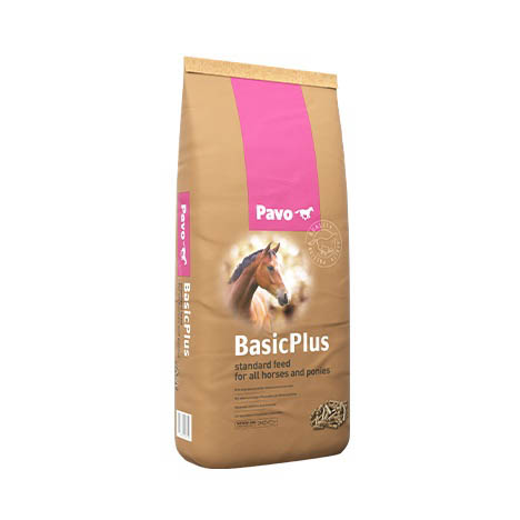 Pavo BasicPlus