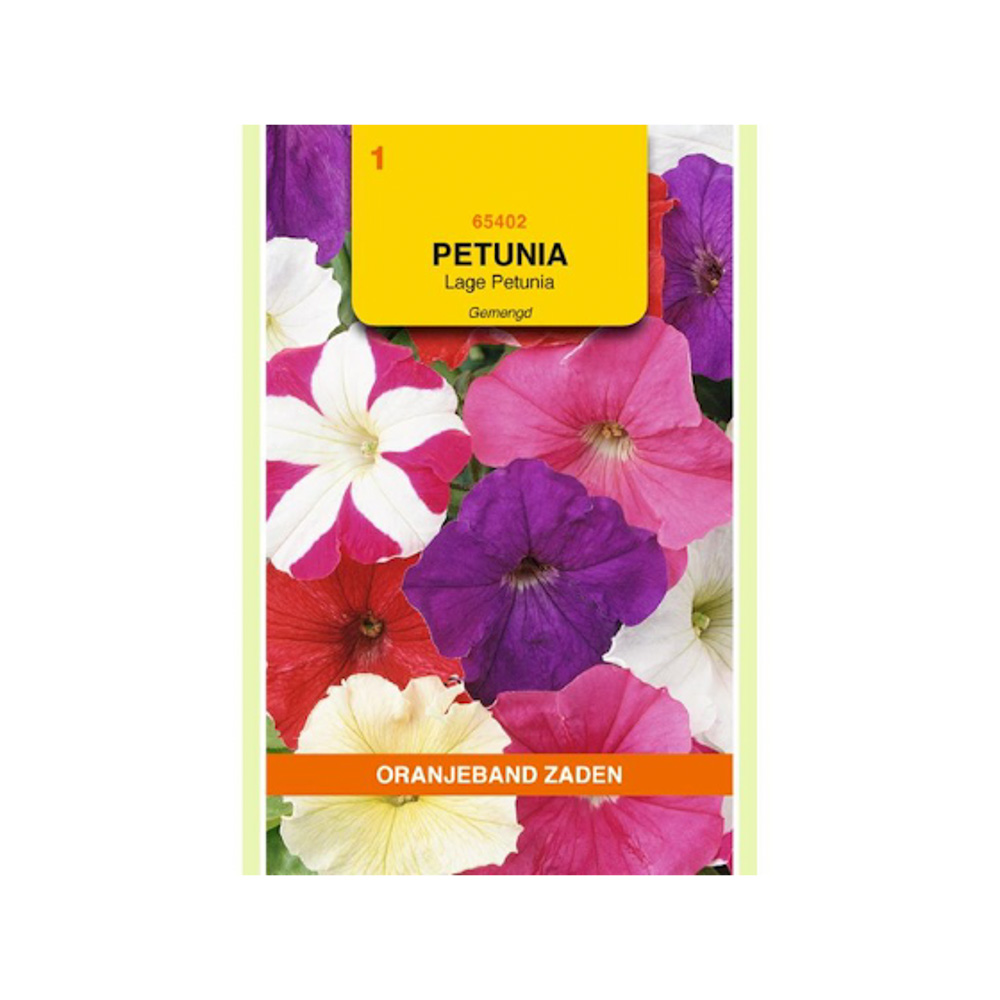 Petunia laag gemengd