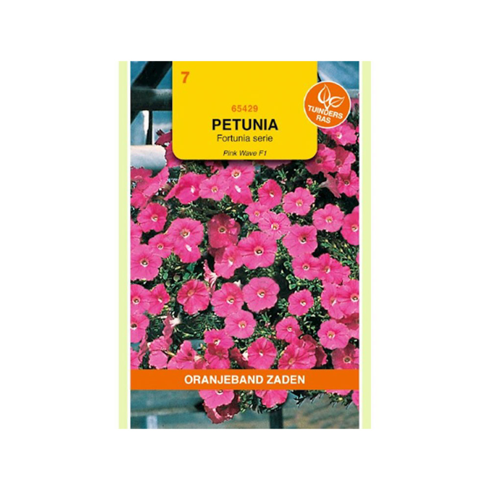 Petunia Pink Wave F1, Fortunia serie