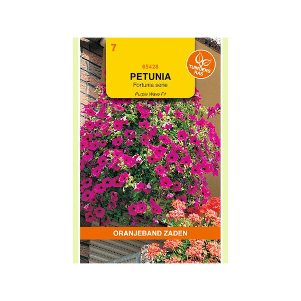 Petunia Purple Wave F1, Fortunia serie