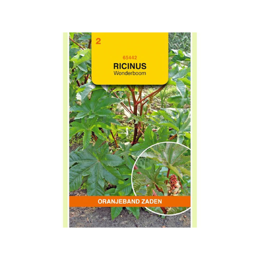  Ricinus, Wonderboom gemengd