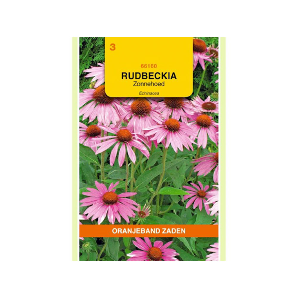  Rudbeckia, Zonnehoed Echinacea