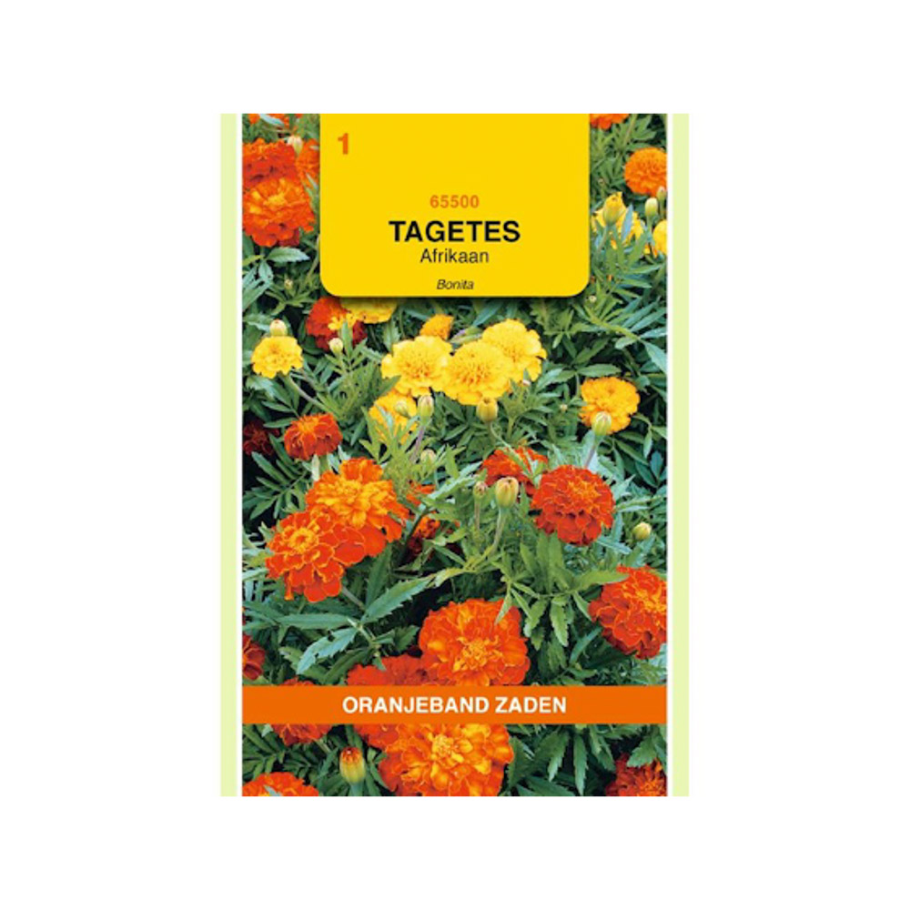 Tagetes, Afrikaan Bonita gemengd