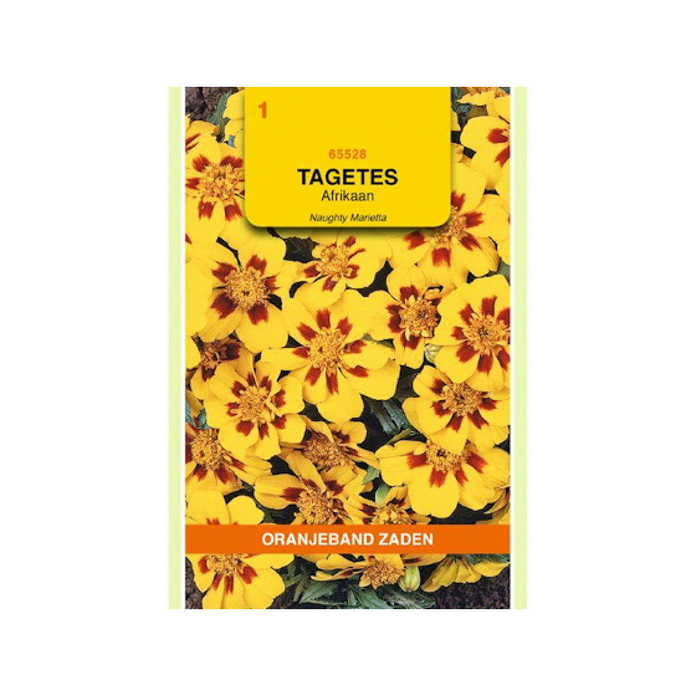 Tagetes, Afrikaan Naughty Marietta