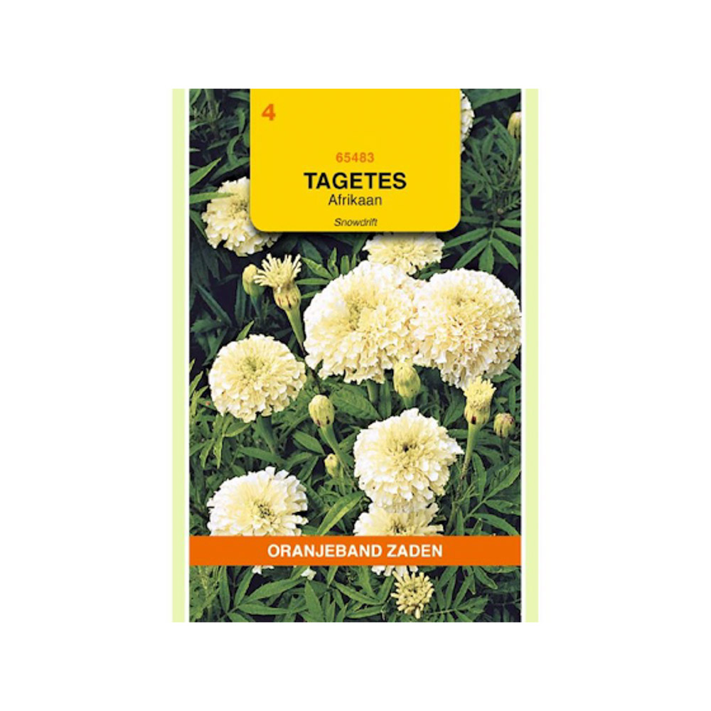 Tagetes, Afrikaan Snowdrift