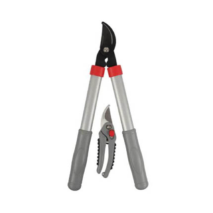 Talen Tools Snoeiset Takkenschaar en Snoeischaar