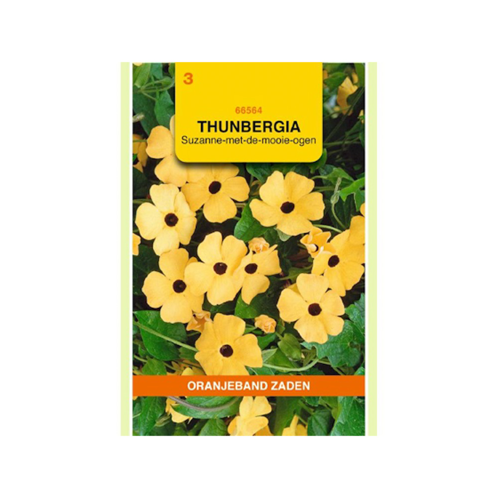 Thunbergia, Suzanne-met-de-mooie-ogen