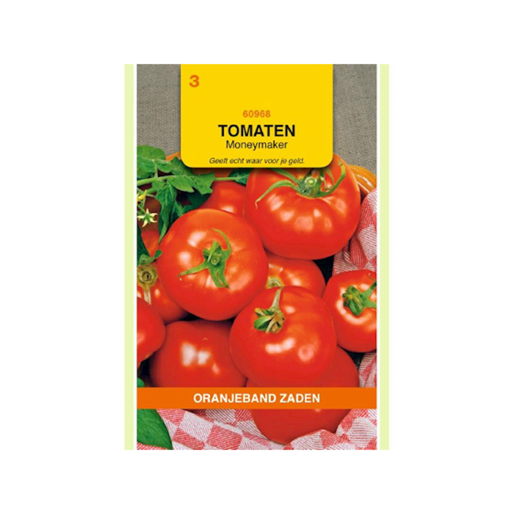 Tomaten Moneymaker