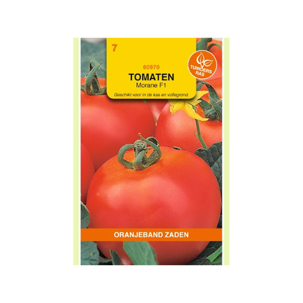 Tomaten Morane F1