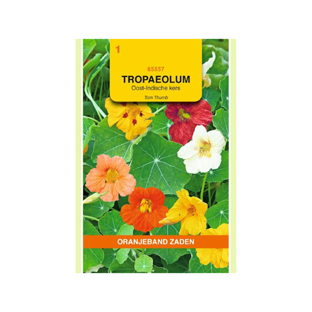 Tropaeolum, Oost-Indische kers Tom Thumb enkelbl.gemengd