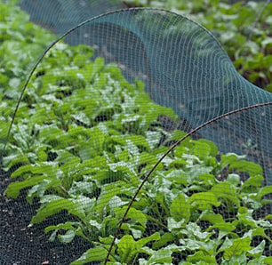 Tuinnetten en vogelafweer