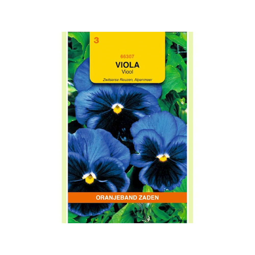  Viola, Viool Alpenmeer