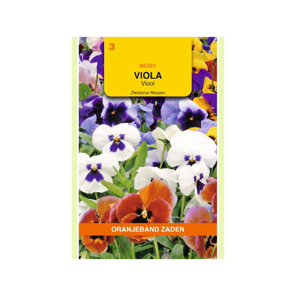 Viola, Viool Zwitserse Reuzen gemengd