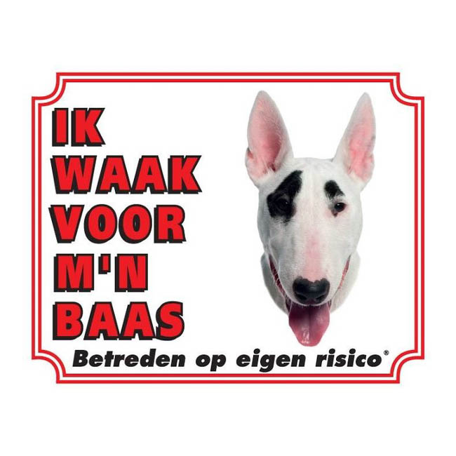 Waakbord Bull Terrier Wit Wit