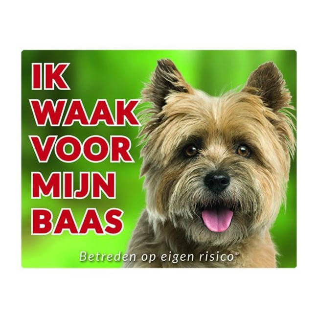 Waakbord Cairn Terrier Blond Groen