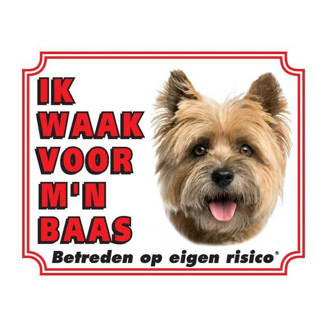 Waakbord Cairn Terrier Blond Wit