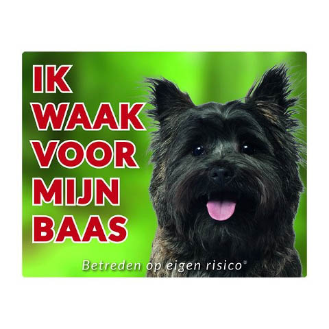 Waakbord Cairn Terrier Bruin Groen