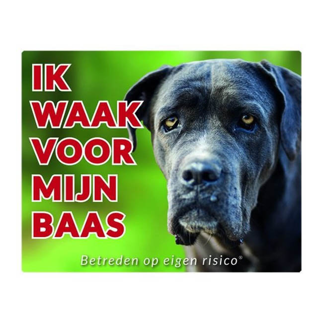 Waakbord Cane Corso Grijs Groen