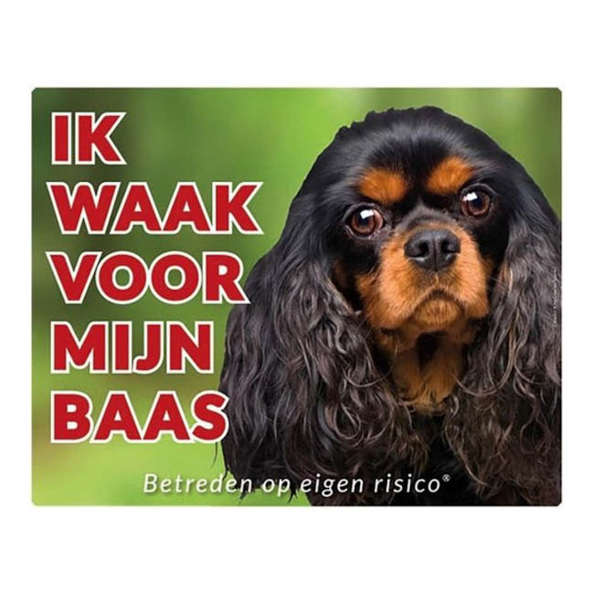 Waakbord Cavalier King Charles Spaniel Black Tan Groen