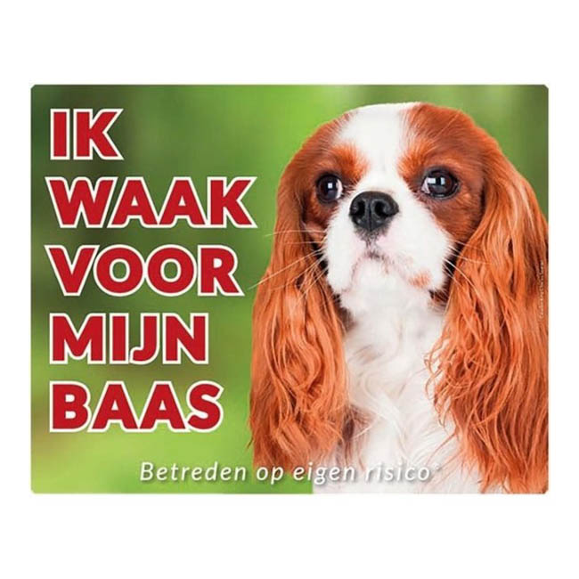 Waakbord Cavalier King Charles Spaniel Two Colour Groen