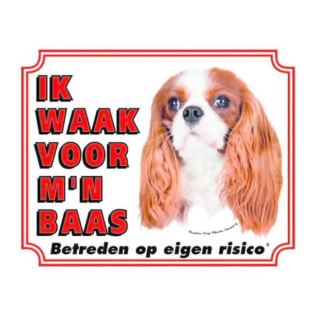 Waakbord Cavalier King Charles Spaniel Two Colour Wit