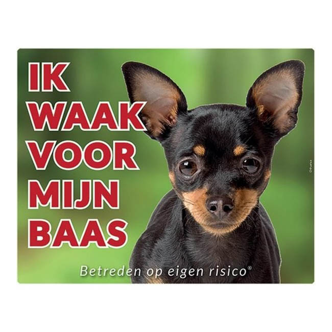 Waakbord Chihuahua Black Tan Groen