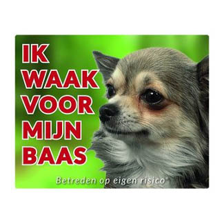 Waakbord Chihuahua Groen