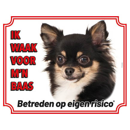 Waakbord Chihuahua Zwart/Wit Langharig Wit