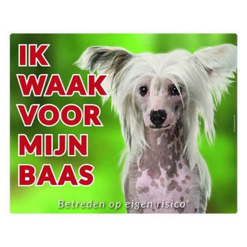 Waakbord Chinese Naakthond Groen
