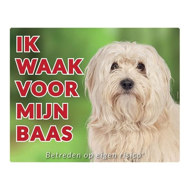 Waakbord Havanezer Blond Groen