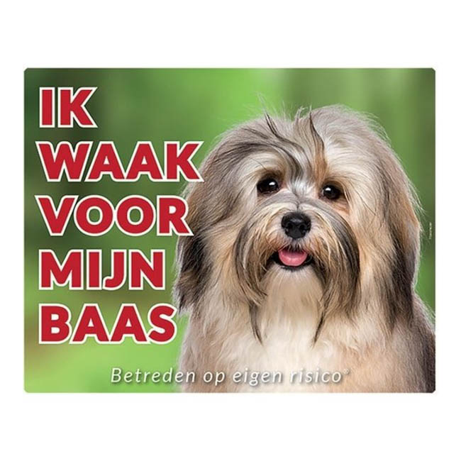 Waakbord Havanezer Grijs/Bruin Groen