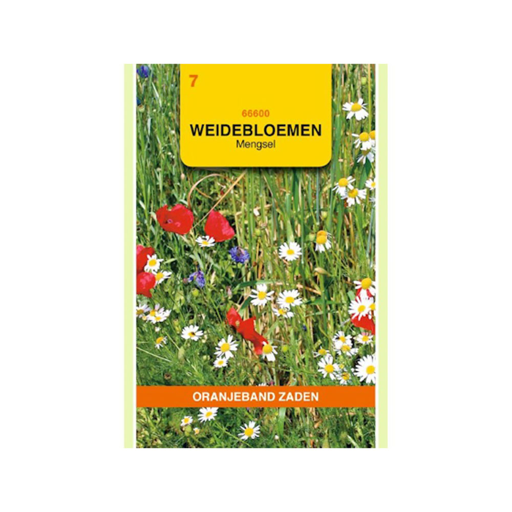 Weidebloemen mengsel 