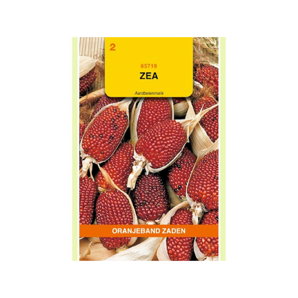 Zea, Aardbeienmais